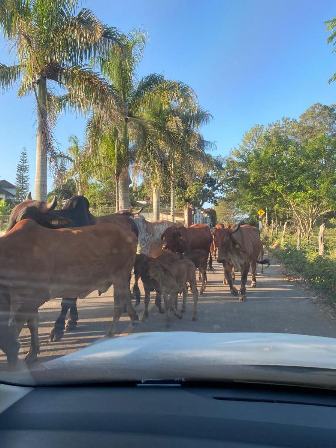 Colina Buena Vista A4 Apartman Jarabacoa Kültér fotó